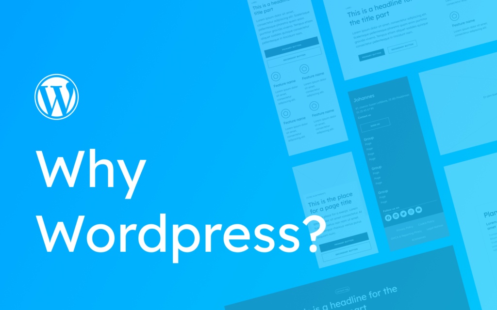 What is WordPress and Why We Use It at NekoBug